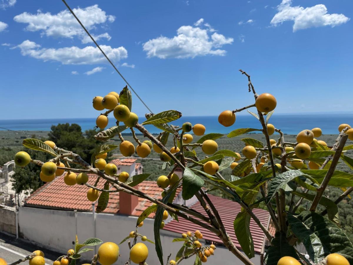 Villetta - Qui Dove Il Mare Luccica - Affitti Brevi Italia มอนเต ซานตานเจโล ภายนอก รูปภาพ