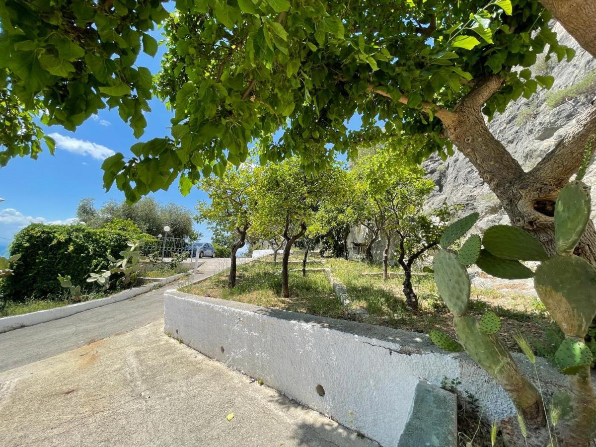 Villetta - Qui Dove Il Mare Luccica - Affitti Brevi Italia มอนเต ซานตานเจโล ภายนอก รูปภาพ