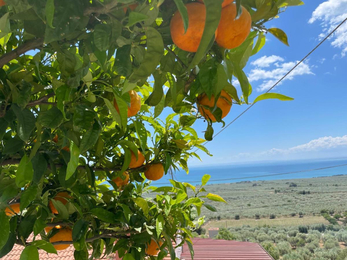 Villetta - Qui Dove Il Mare Luccica - Affitti Brevi Italia มอนเต ซานตานเจโล ภายนอก รูปภาพ
