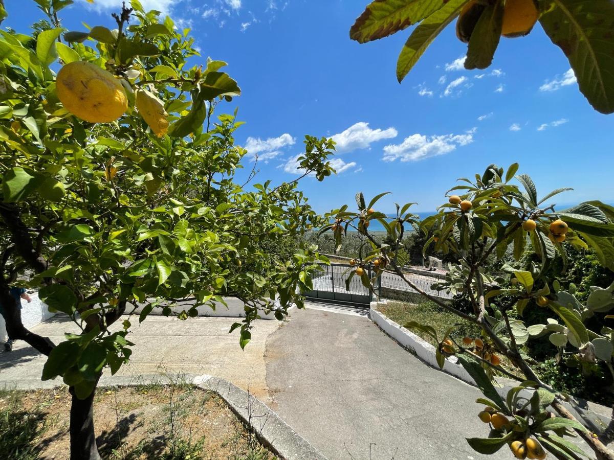 Villetta - Qui Dove Il Mare Luccica - Affitti Brevi Italia มอนเต ซานตานเจโล ภายนอก รูปภาพ
